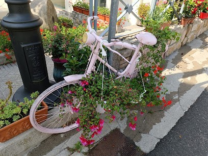 La Floreale, Fiorista a Tarvisio