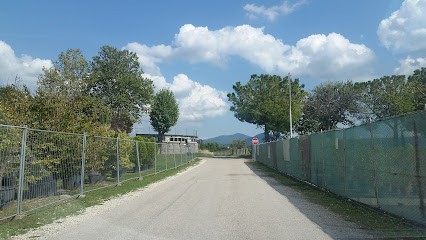 C.D. Plants And Bulbs Di Cortese Daniele, Fiorista a Viterbo