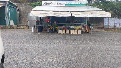 Marino Cossu Chiosco Piante e Fiori, Fiorista a Ceccano