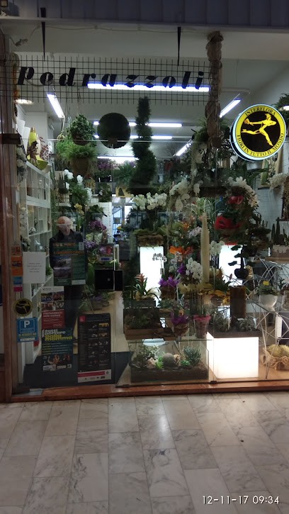 Floricoltura Pedrazzoli, Fiorista a Sondrio