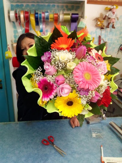 La Rosa Blu Di Vispi Anna Maria, Fiorista a Gubbio