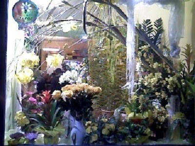 La Gloxinia Fiori E Piante, Fiorista a Messina