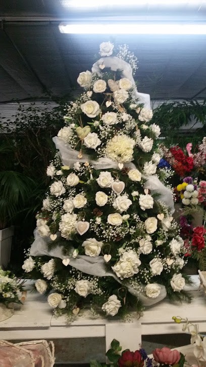 Floricoltura Marchesi Angelo, Fiorista a Pieve Albignola