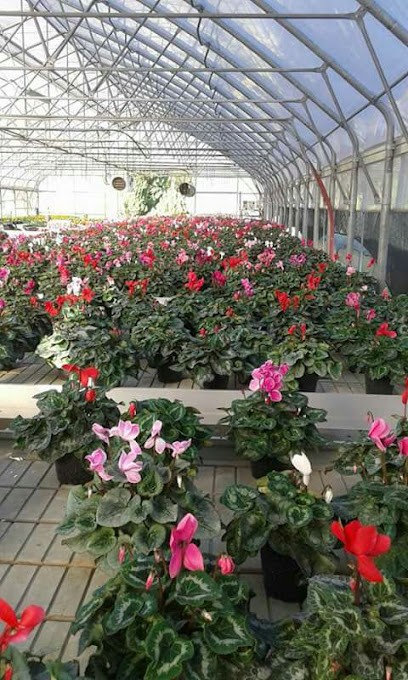 Fiori e Piante la Groletta, Fiorista a Rivoli Veronese