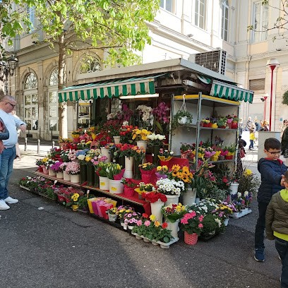 Fiori Rosa Di Jubain Jubain, Fiorista a Trieste