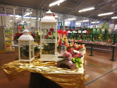 Florgarden, Fiorista a Reana del Rojale