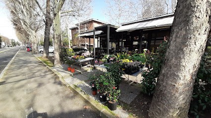 Fior Parma, Fiorista a Parma