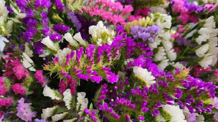 Fiorista Alessandro Drovandi, Fiorista a Lonate Pozzolo