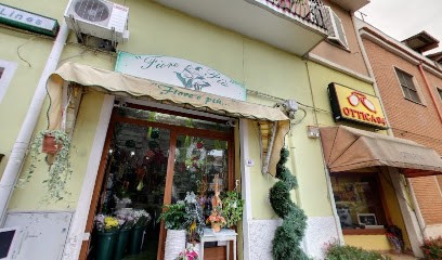 Fiorista Fiore Piu, Fiorista a Senorbì