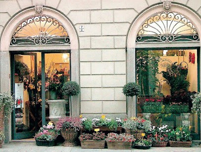 Blue Gardenia Di Lioi Anna, Fiorista a Torino