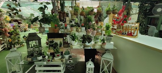 Corea Garden, Fiorista a Livorno