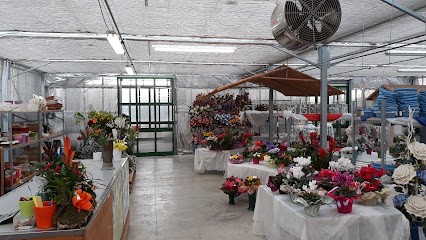 I Fiori Di Tilde Di Fiammengo - Oriago, Fiorista a Mira