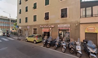 Fioraio VIGNALI ALESSANDRO, Fiorista a Genova