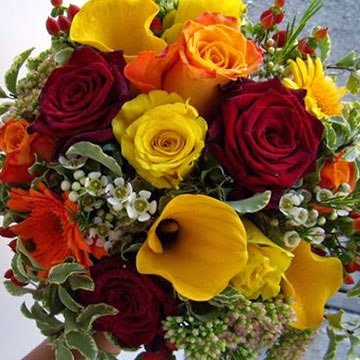 Il Bucaneve - Piante E Fiori, Fiorista a Zola Predosa