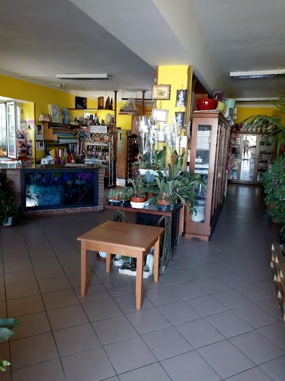 Miraglia Maria Luisa, Fiorista a Carinola