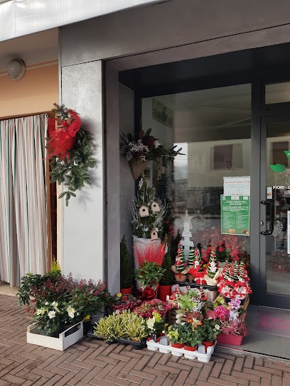 Agrizoo Service, Fiorista a Ospedaletto Euganeo