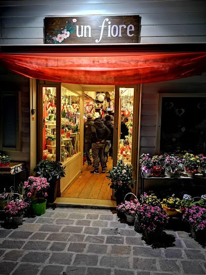 Bonaduce Stefania, Fiorista a Santa Marinella