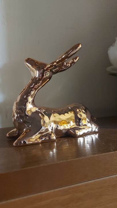 L'Orchidea S.A.S. Di Francesco D'Agostino E C., Fiorista a Napoli