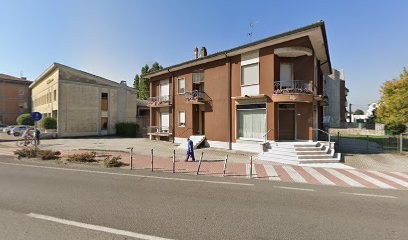 Fiori E Piante Provolo Di Provolo Paola, Fiorista a Nogara