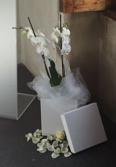 Fioreria Bazzi, Fiorista a Sondrio