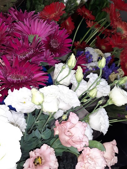 Piante Fiori Addobbi & Onoranze Funebri - PERROTTA Marcellina, Fiorista a Marcellina