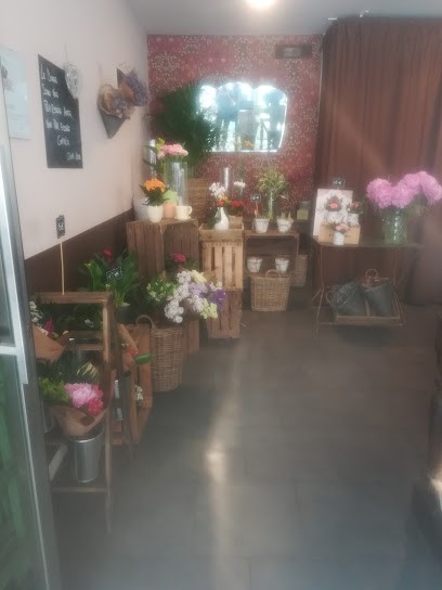 Frida's Rovigo | Italian Flower Stores, Fiorista a Rovigo