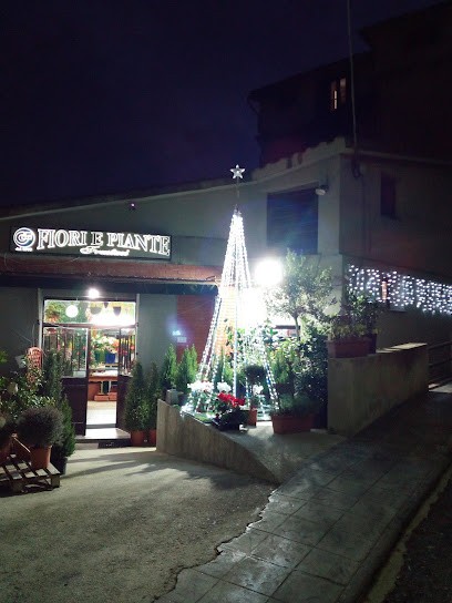 Frustaci, Fiorista a Taverna