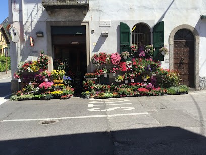 Piante e Fiori Mazzoleni, Fiorista a Mandello del Lario