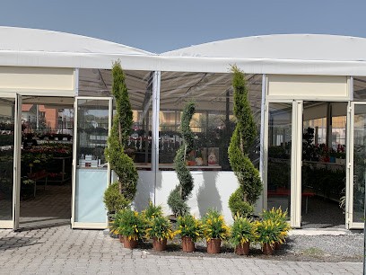 Vivai piante e fiori La Clorofilla, Fiorista a San Giovanni la Punta