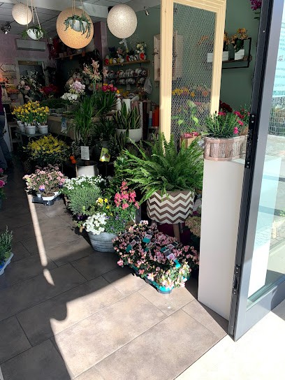 Fioreria Di Fiore In Fiore Di Cristina Cavestro, Fiorista a Piove di Sacco