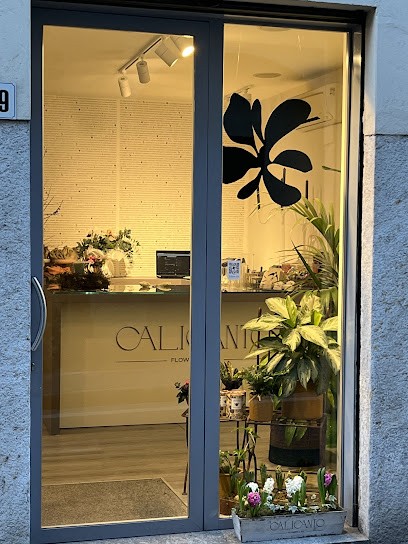 Calicanto Flowers & Co., Fiorista a Sesto Calende