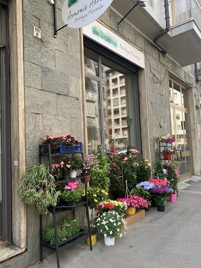 Armonie Arboree, Fiorista a Torino