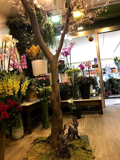 Motisi Saverio Di Liberto Motisi, Fiorista a Palermo