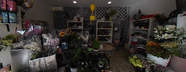 Fioreria La Mimosa Di Paratore Roberta, Fiorista a Roma