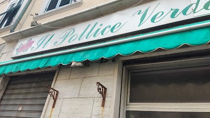 Il Pollice Verde Di Dazzi Daniela, Fiorista a Livorno