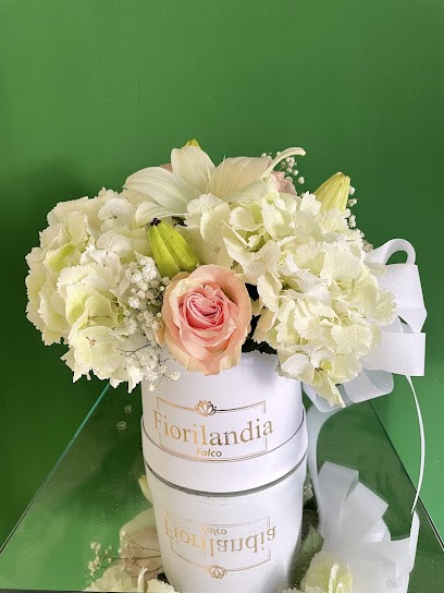 Fiorilandia Di Falco Luigi, Fiorista a San Paolo Bel Sito