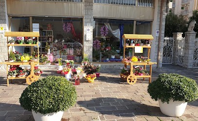 Eden Rose Di Pacifici Maria Scala, Fiorista a Rimini