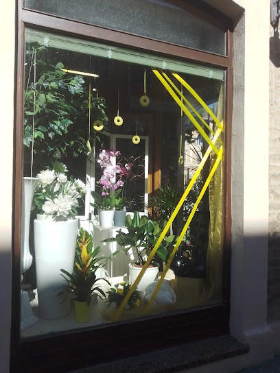 Fiore E Piante Branciari Di Branciari Fernando, Fiorista a Macerata