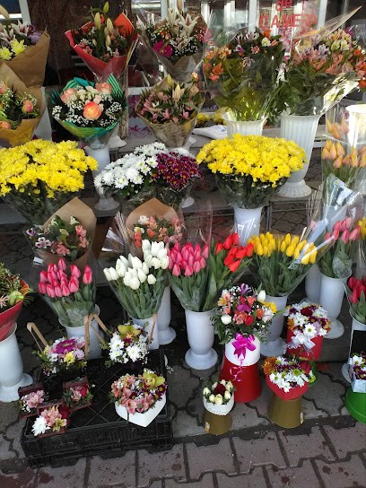 MAFF Di Maffullo Gerardo Agenzia Funebre, Fiorista a Pescopagano