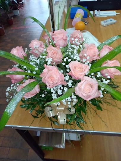 Lapelosa Anna, Fiorista a Sala Consilina