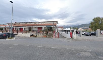 La Primula Blu, Fiorista a Santa Maria del Cedro