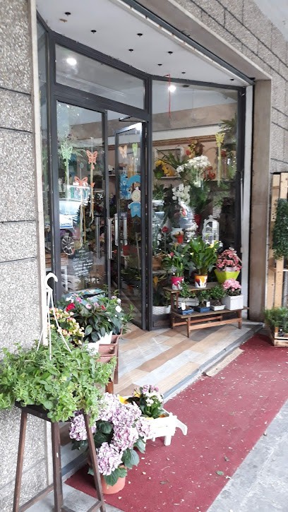 Ditelo Coi Fiori, Fiorista a Sasso Marconi