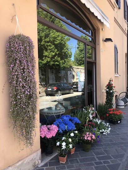 Fioreria Al Duomo Di Bandini Catia, Fiorista a Ravenna