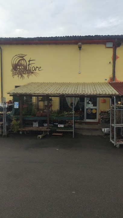 Pagliari Orestina, Fiorista a Viadana