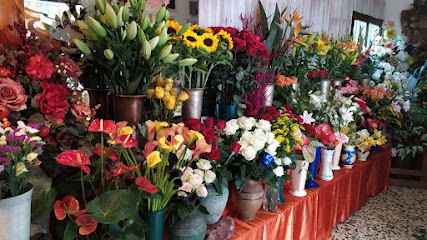Silvia Fiori Di Rotondo Michele E C. Snc, Fiorista a Torino