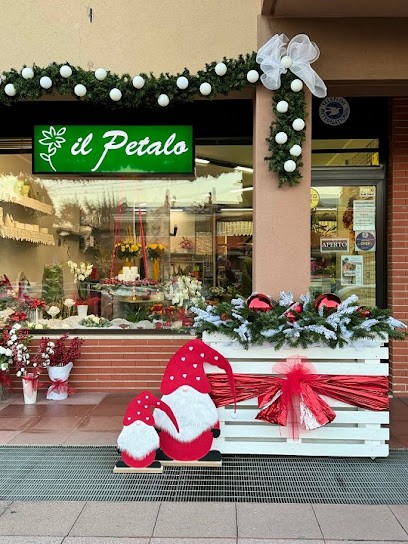 Il Petalo, Fiorista a Pessano con Bornago