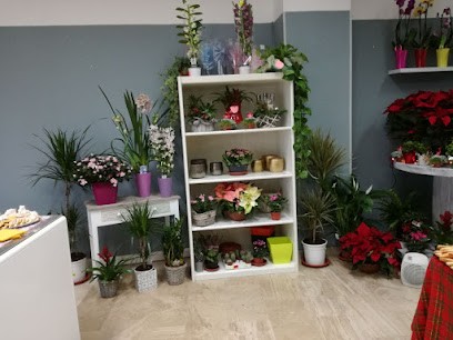 Dillo Con Un Fiore, Fiorista a Ulassai