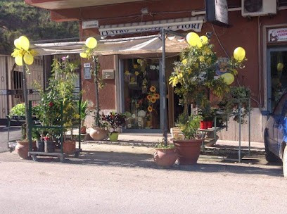 Messaggi Floreali, Fiorista a Palagonia