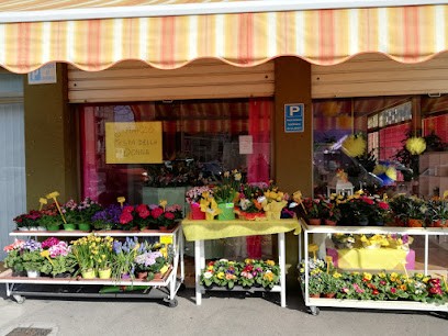 Fioreria I Fiori Di Lu - Marcon, Fiorista a Marcon