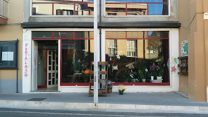 Petaloso, Fiorista a Sindia